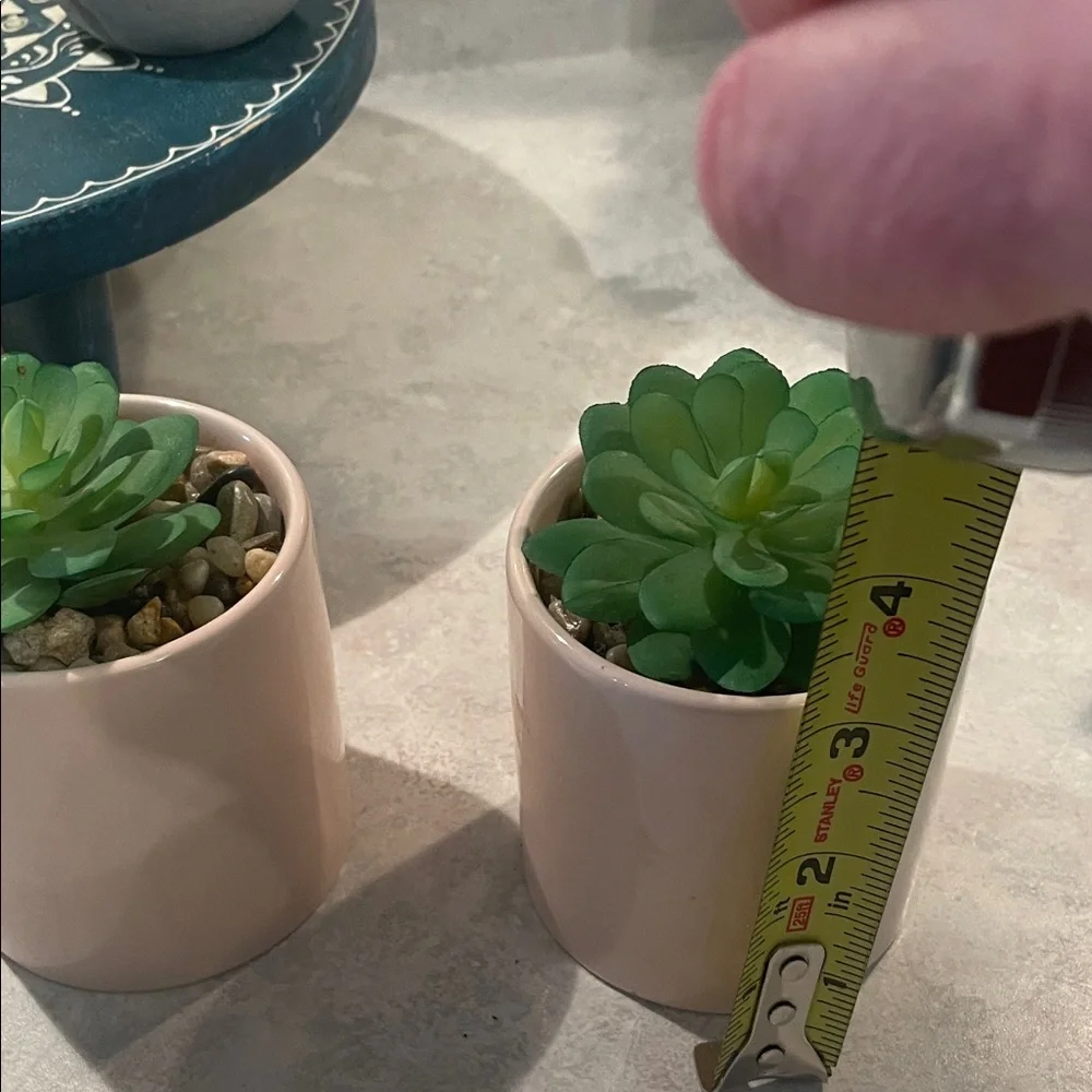 Assorted Faux Succulent Planter Set